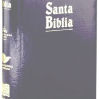 Biblia Reina Valera 1960, descarga gratis, PDF